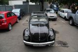 Volkswagen Beetle - , , ,   !!!  