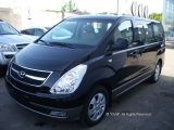 ������ ����� �������� NEW ������  2010 ���� ������