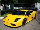 Lamborghini Murcielago   , , 